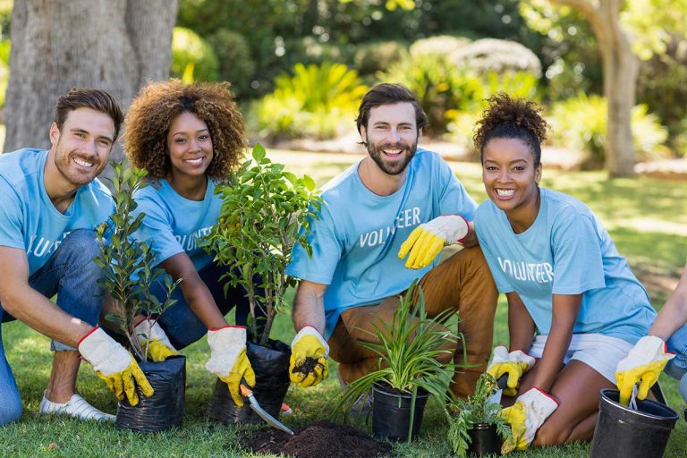Afforestation program held by foundation